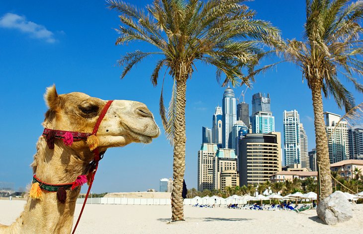 أفضل النقاط المتميزة على أرض الواقع لمناظر ناطحات السحاب الشهيرة في دبي
