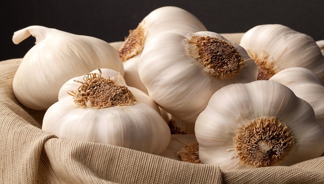 How to germinate hair with garlic