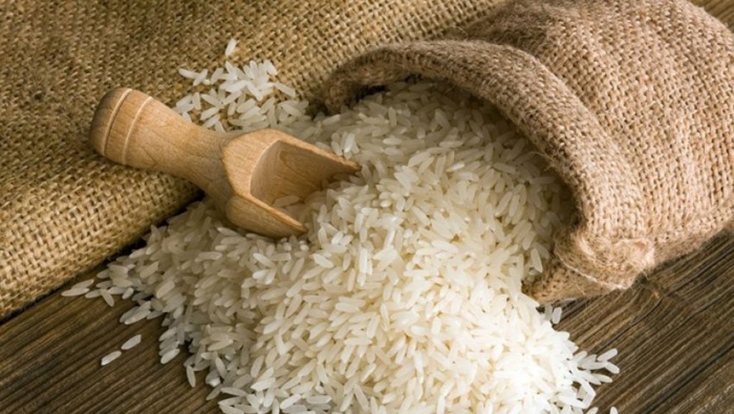دراسة جدوى مشروع تجارة الأرز
